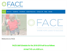 Tablet Screenshot of faceprogram.org